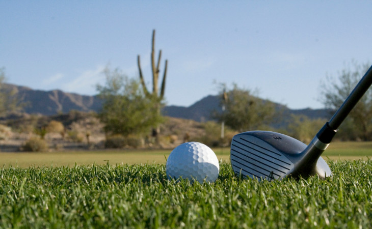 Nahaufnahme eines Golfballs und eines Schlägerkopfes, im Hintergrund ein großer Kaktus