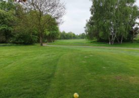 Eine Allee auf einem Golfplatz