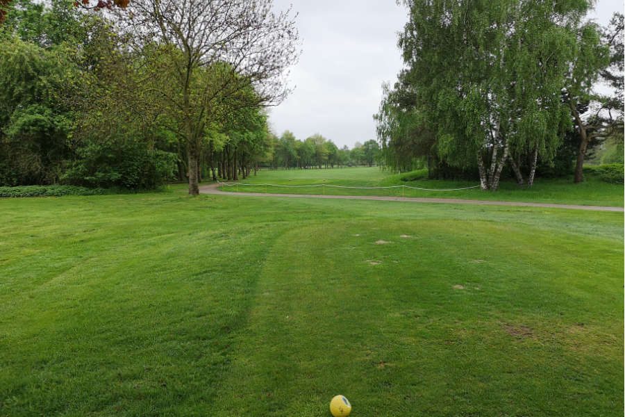 Eine Allee auf einem Golfplatz