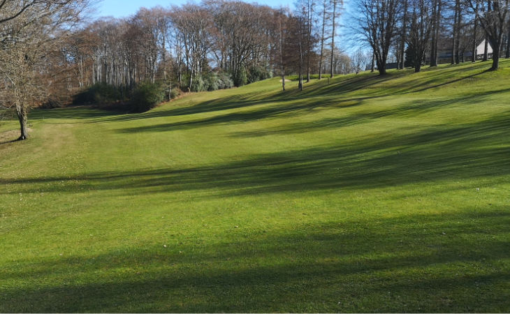 Eine Allee auf einem Golfplatz