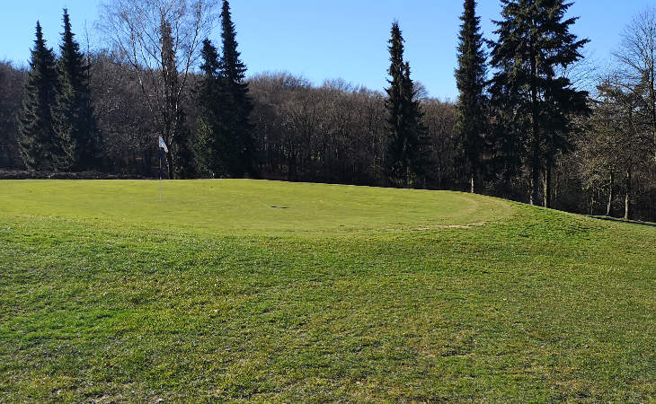 Ein grün mit Fahne auf einem Golfplatz