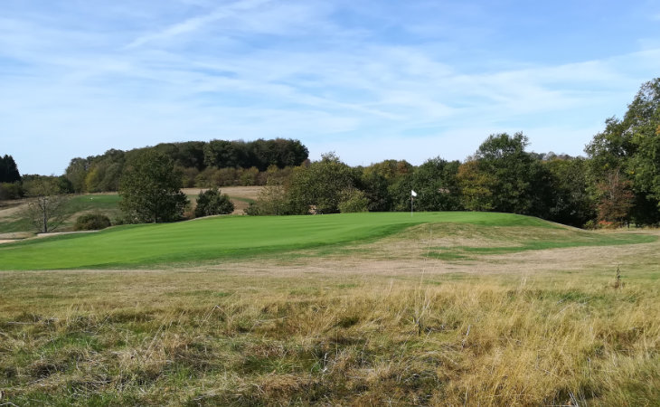 Ein Green mit Fahne auf einem Golfplatz