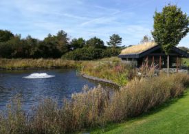 Ein Teich und ein Häuschen auf einem Golfplatz