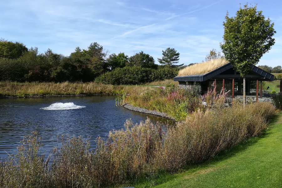 Ein Teich und ein Häuschen auf einem Golfplatz