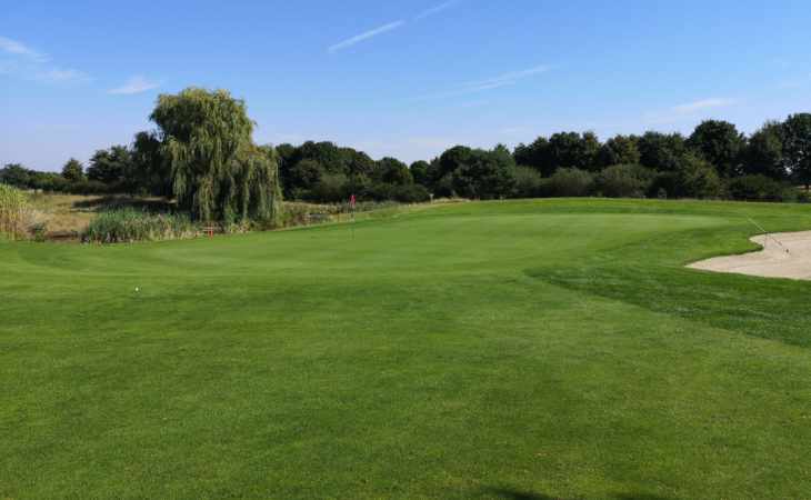 Golfpark Steinhuder Meer: Green mit Trauerweide