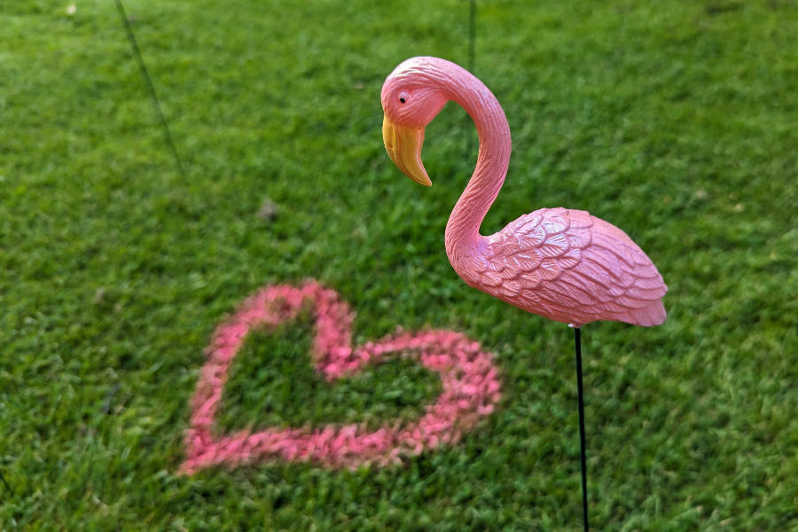 Ein Plastikflamingo vor einem aufgesprühtem Herz auf dem Gras