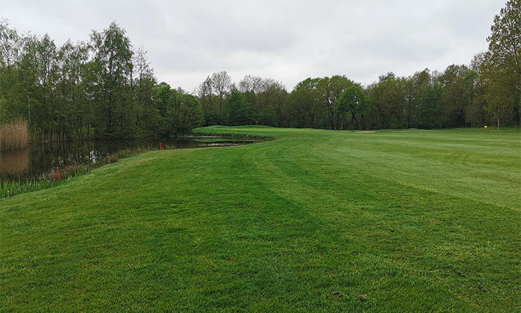 Eine Golfwiese und links ist ein Teich zusehen