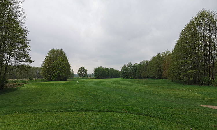 Eine Golfwiese im Wald