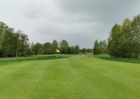 Eine Golfwiese mit einer gelben Fahne in der Mitte und links und rechts sind Bäume