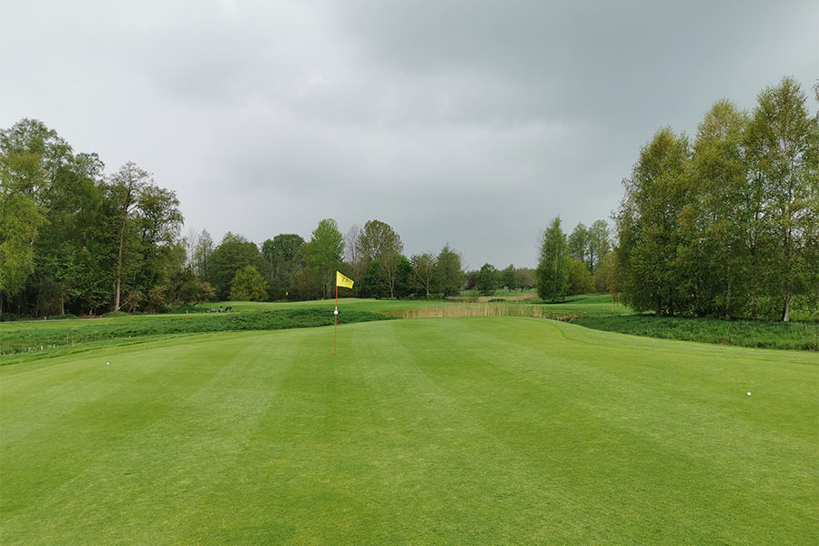 Eine Golfwiese mit einer gelben Fahne in der Mitte und links und rechts sind Bäume