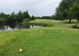 Ein Teich und ein Baum auf einem Golfplatz