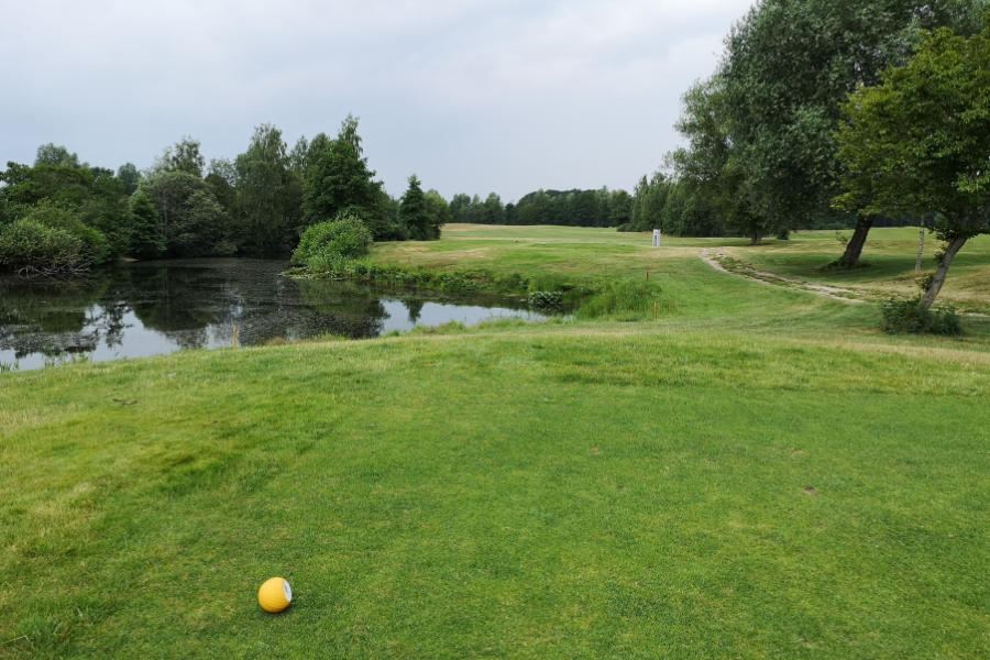 Ein Teich und ein Baum auf einem Golfplatz