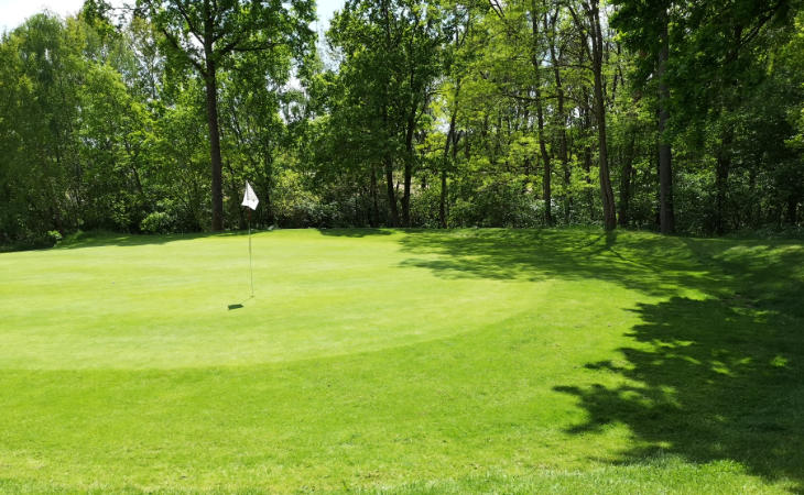 Ein Green auf einem Golfplatz