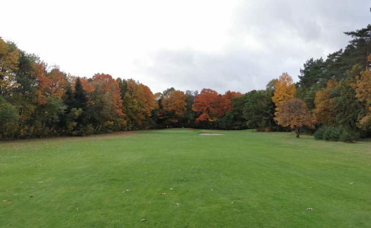 Herbstlich gefärbte Bäume auf einem Golfplatz