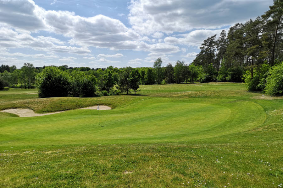 Ein Green auf einem Golfplatz, dahinter viele Bäume