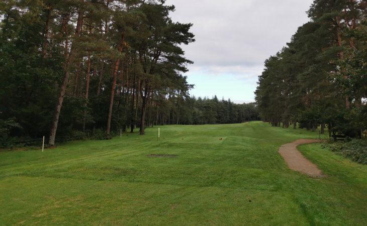 Ein Fairway auf einem Golfplatz