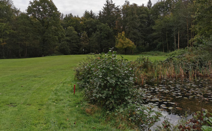 Bäume und ein Teich auf einem Golfplatz