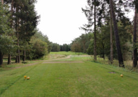 Eine Teebox auf einem Golfplatz