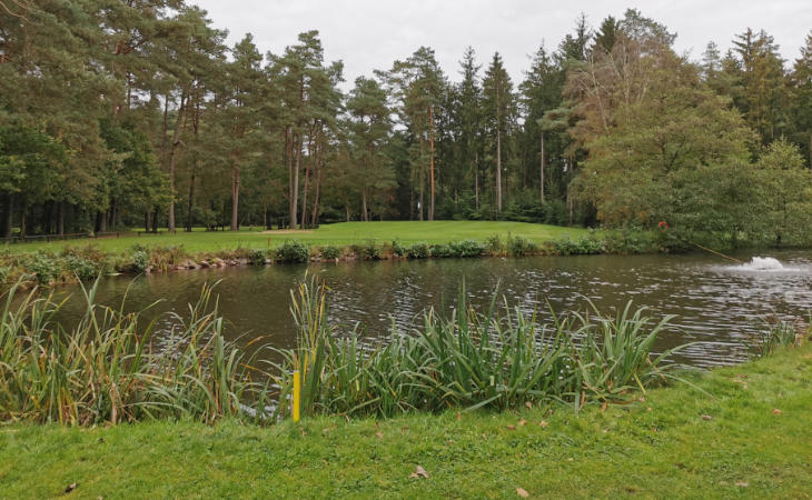 Ein Teich auf einem Golfplatz