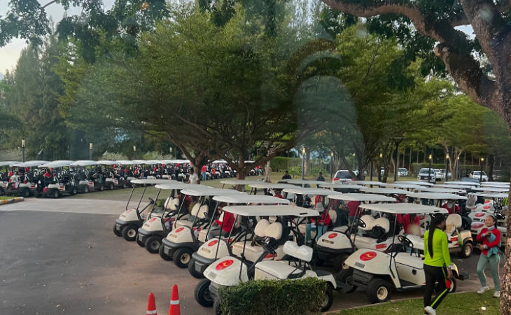Viele Golfcarts