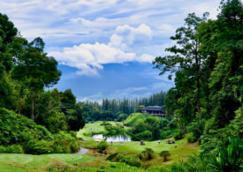 Ein spektakulärer, hügeliger Golfplatz