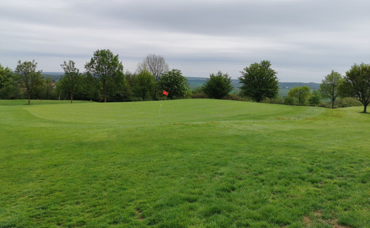 Ein Green mit Fahne auf einem Golfplatz