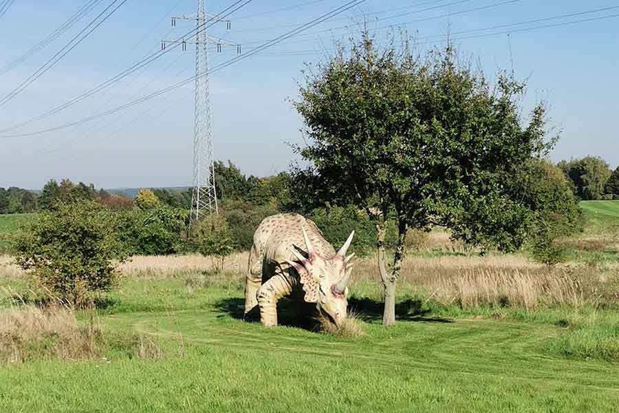Triceratops frisst Gras