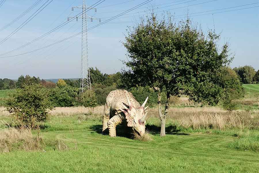 Golfclub Rehburg-Loccum: Golfen neben Dinosauriern