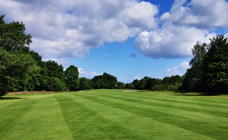 Ein weitläufiger Rasen auf einem Golfplatz