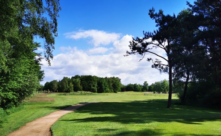 Ein Gehweg und Bäume auf einem Golfplatz