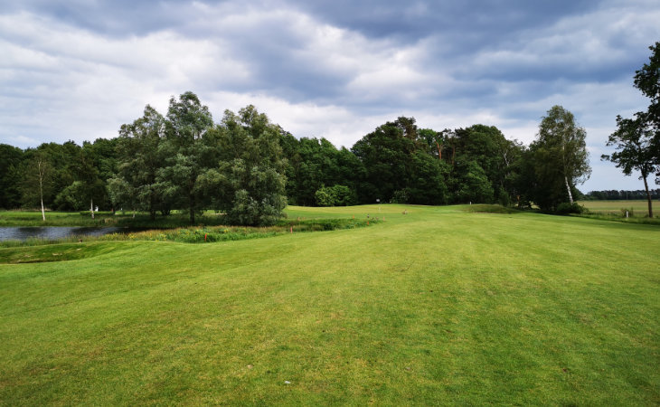 Ein Golfplatz mit Bäumen und einem Wasserhindernis