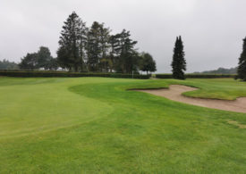 Ein Green auf einem Golfplatz