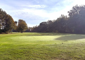 Ein Golfplatz im Sonnenschein